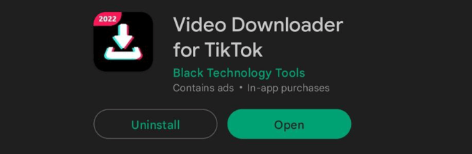 How to Download TikTok Videos that Can't be Saved