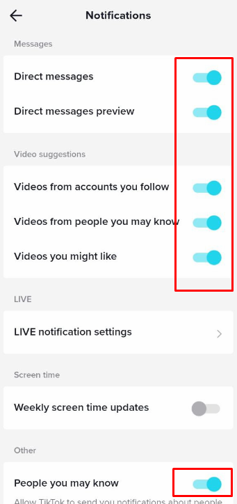FIxes for TikTok DM Notifications not working - turn on notifications
