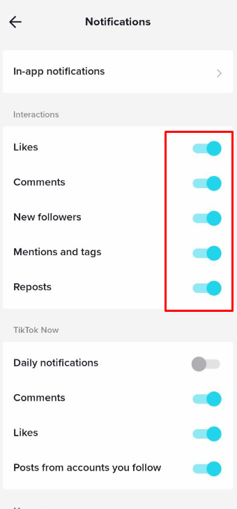 FIxes for TikTok DM Notifications not working - enable