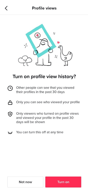 TikTok profile View History