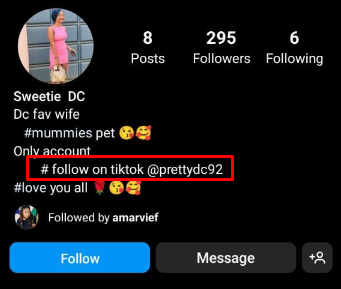 how to find someone on tiktok with Instagram - search their Bio